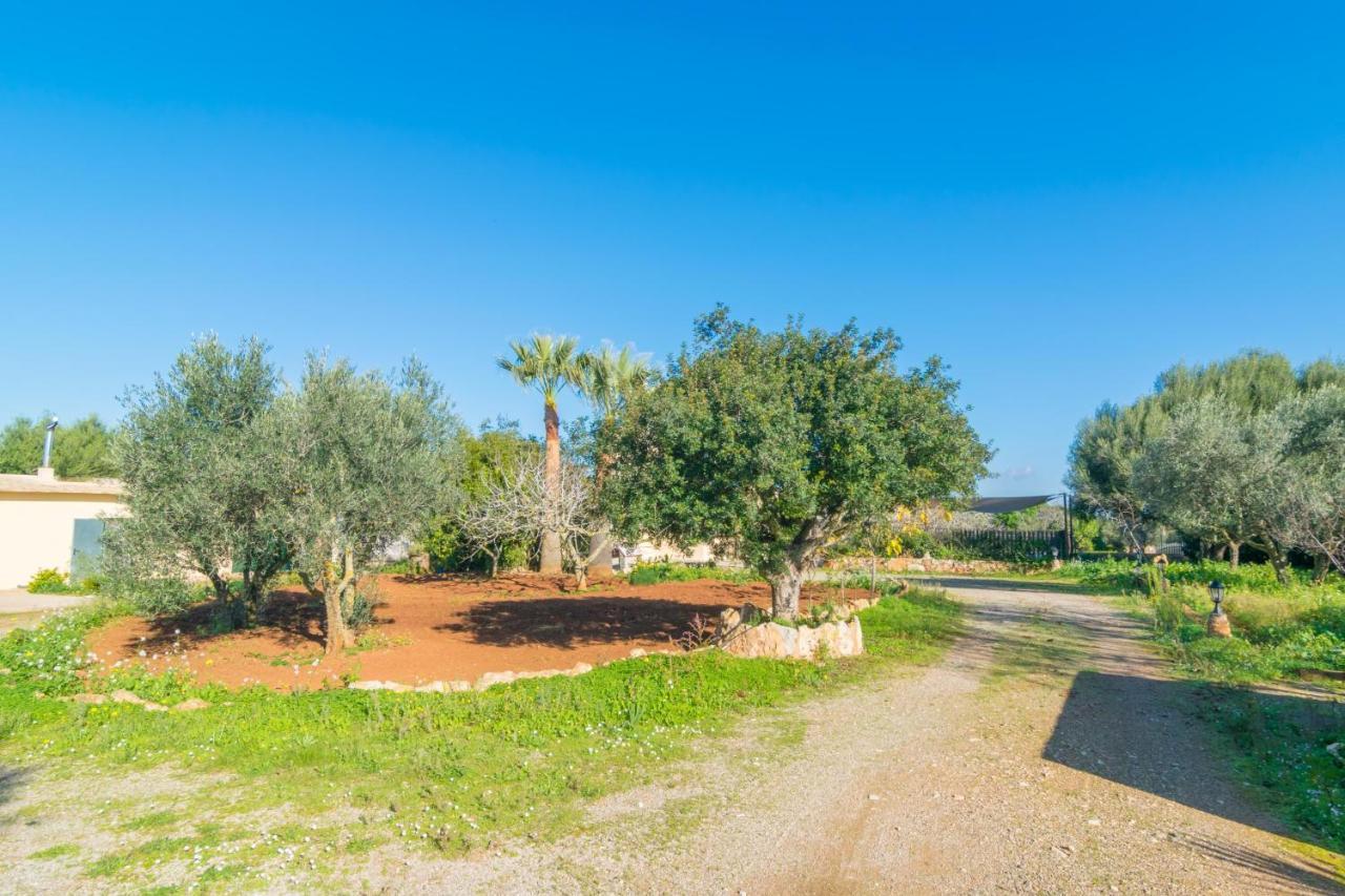 Вилла Sa Tanqueta De Ses Roques Сантаньи Экстерьер фото